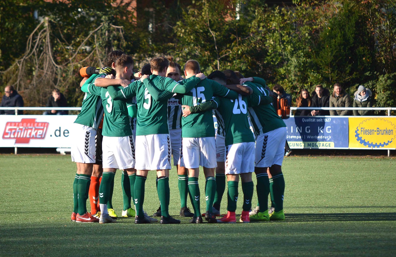 DDOS网页端平台|珠海宿迁商标注册代理机构