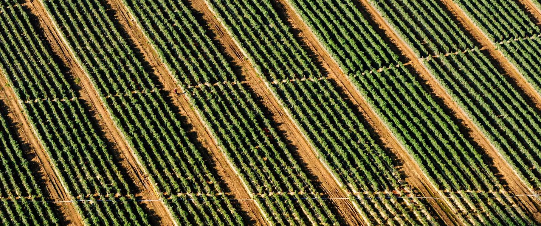 茄子视频app详情下载教程app