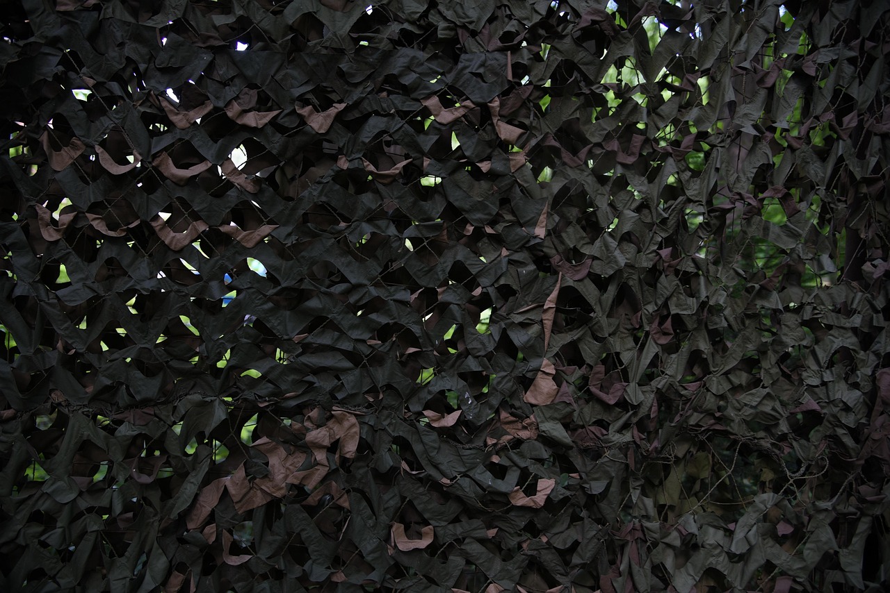 虎扑体育app详情下载教程