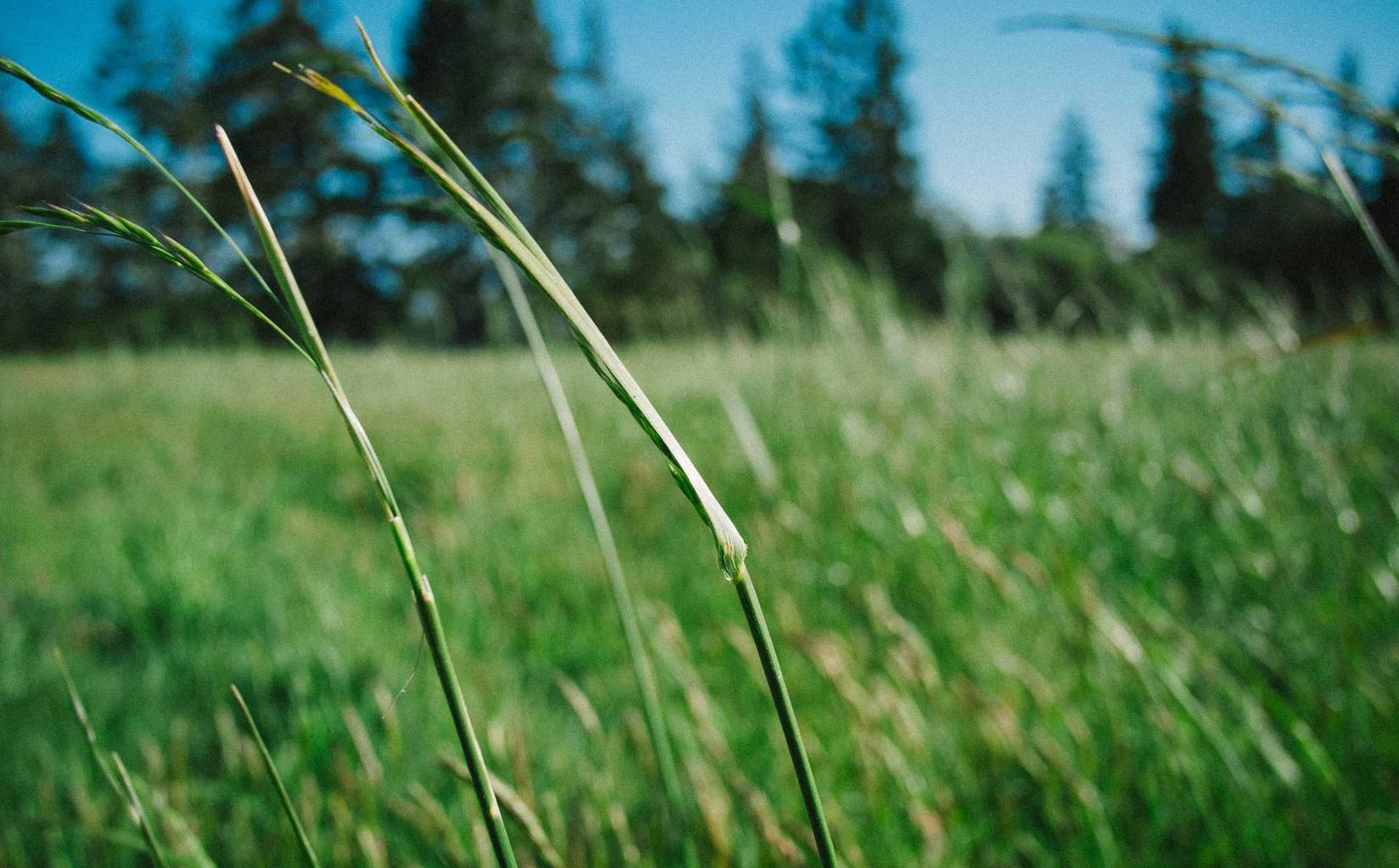 网站压力测试|购买建材的平台
