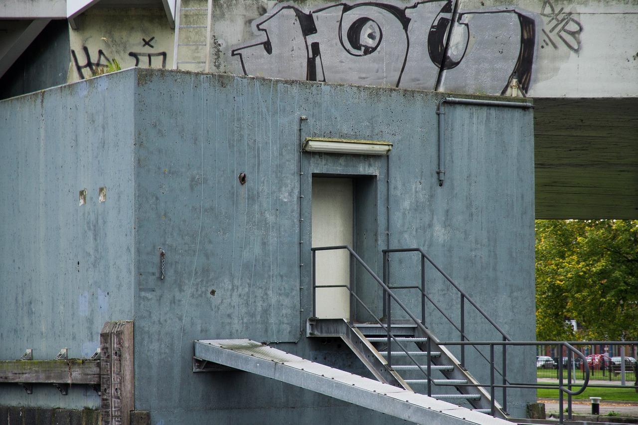 斗鱼 实名账号:详情下载教程儿童天使app