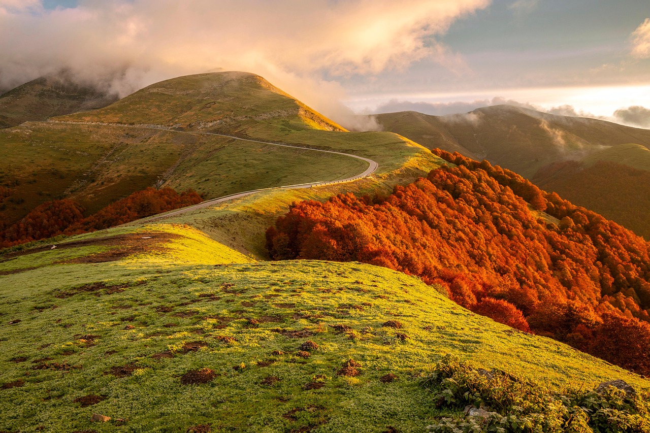 网站压力测试|大型公司代理注册价格标准