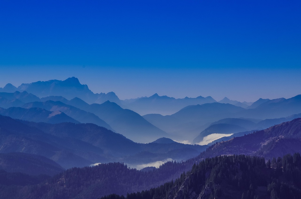 DogYun实名账号：南昌英国公司注册代理