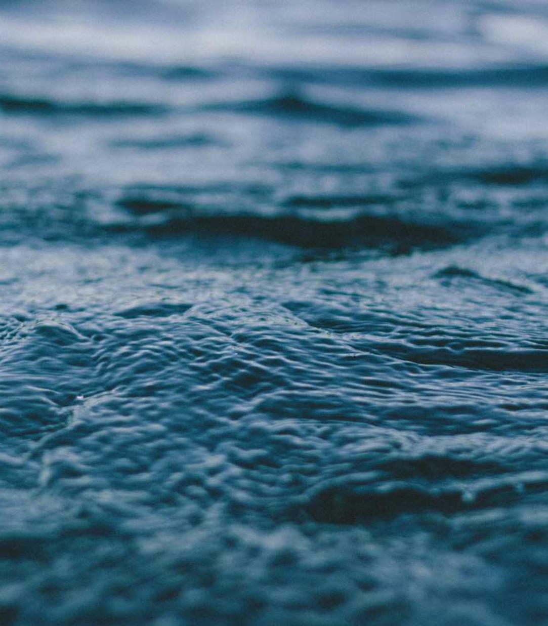 豪利时草莓双爆珠:杭州古筝购买平台