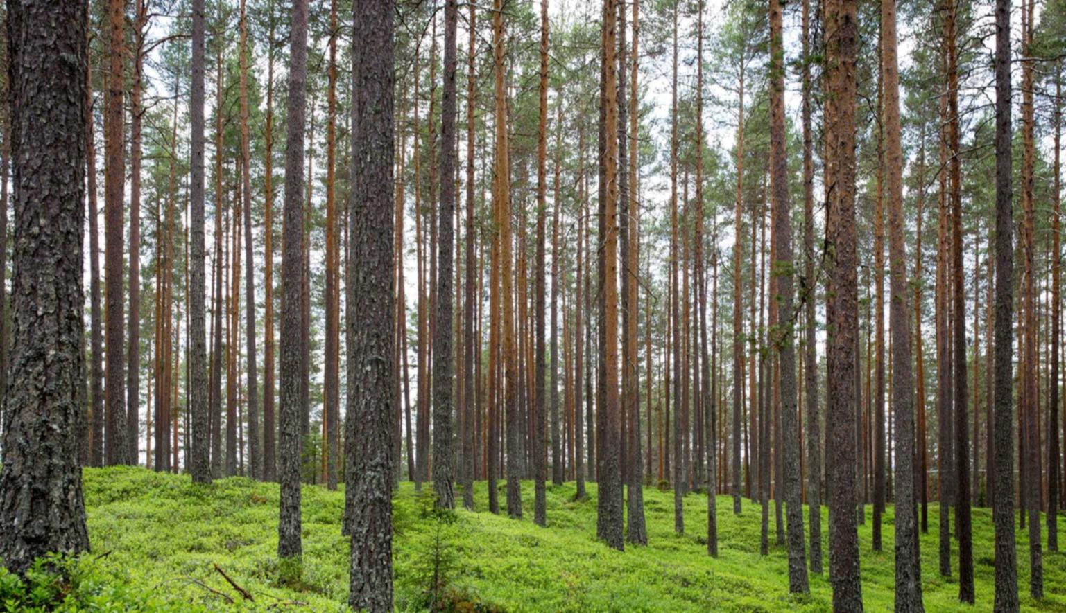 景安实名账号：祥云平台 代理 银川