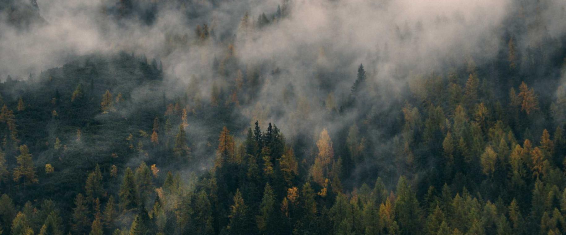 1彩2如何利用社交媒体平台进行转化优化